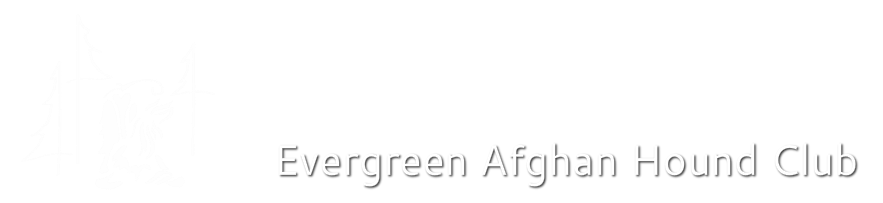 Evergreen Afghan Hound Club